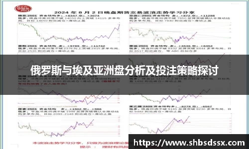 俄罗斯与埃及亚洲盘分析及投注策略探讨