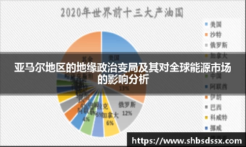 亚马尔地区的地缘政治变局及其对全球能源市场的影响分析