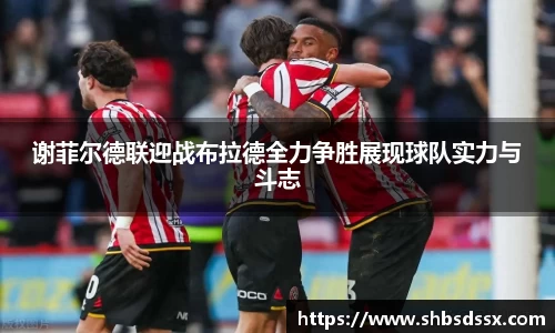 谢菲尔德联迎战布拉德全力争胜展现球队实力与斗志